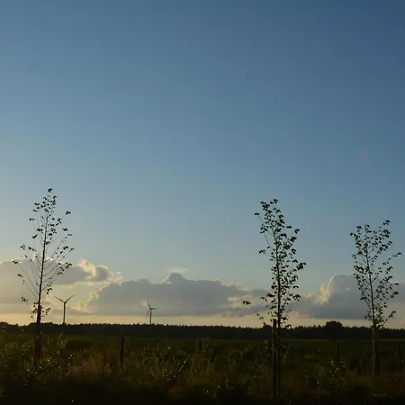 Grafenland